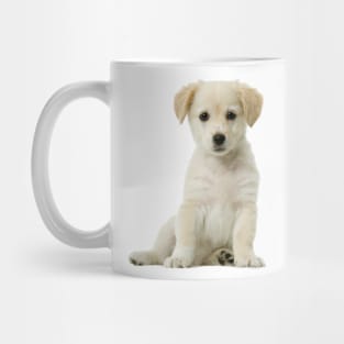 Cute Labrador Puppy Mug